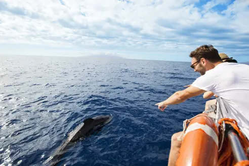 TFS En Dag På Havet 1