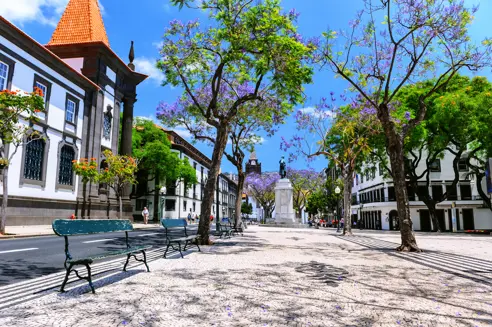 FNC Funchal 357902888