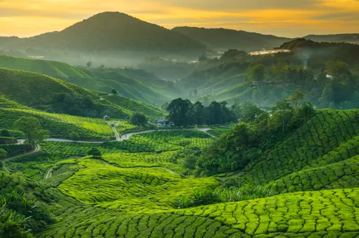Malaysia Adobestock 72005901