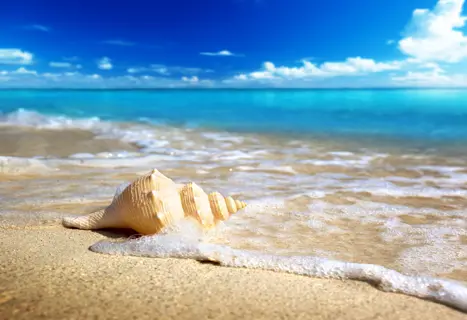 Shutterstock 82797373