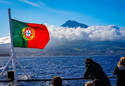Pico1