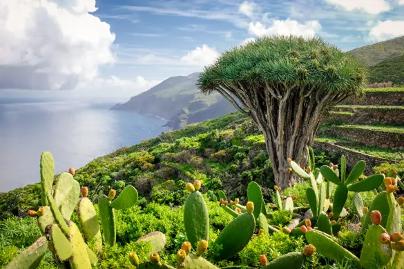 La Palma El Tablado Garafía Dominic Dähncke