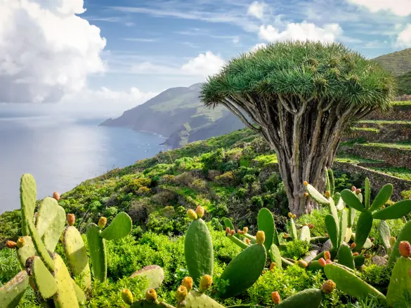 La Palma El Tablado Garafía Dominic Dähncke