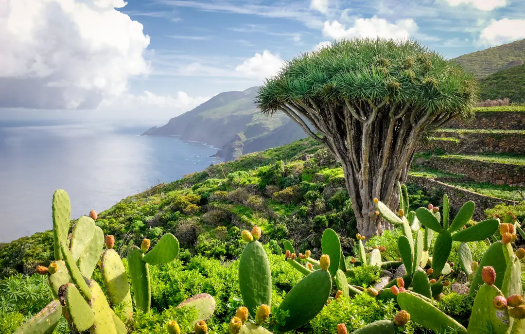 La Palma El Tablado Garafía Dominic Dähncke