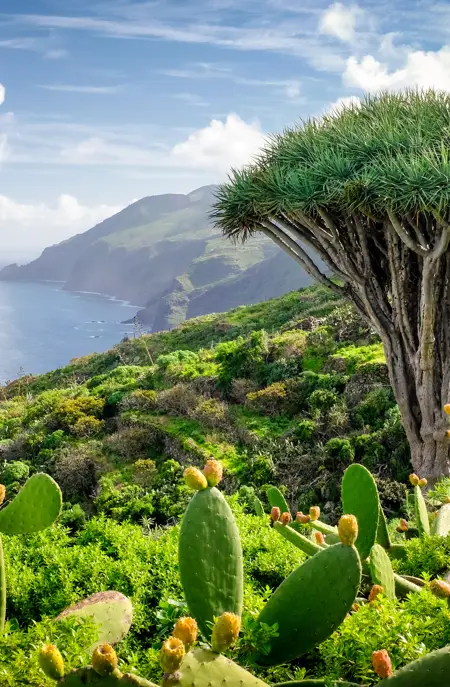La Palma El Tablado Garafía Dominic Dähncke