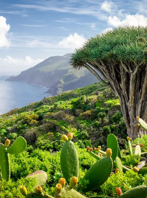 La Palma El Tablado Garafía Dominic Dähncke