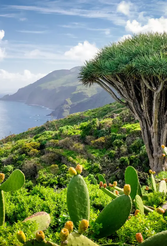 La Palma El Tablado Garafía Dominic Dähncke