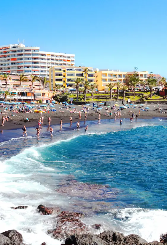 TFS Playa De La Arena 419794690