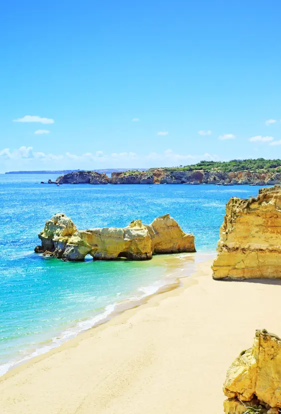 FAO Praia Da Rocha 112676606