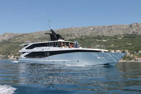 Seagull PS (13).JPG