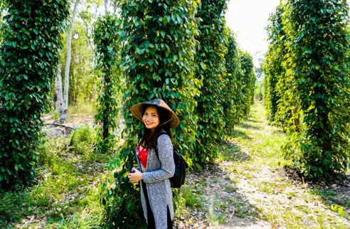 Viet Phu Quoc Peberfarm 3.jpg