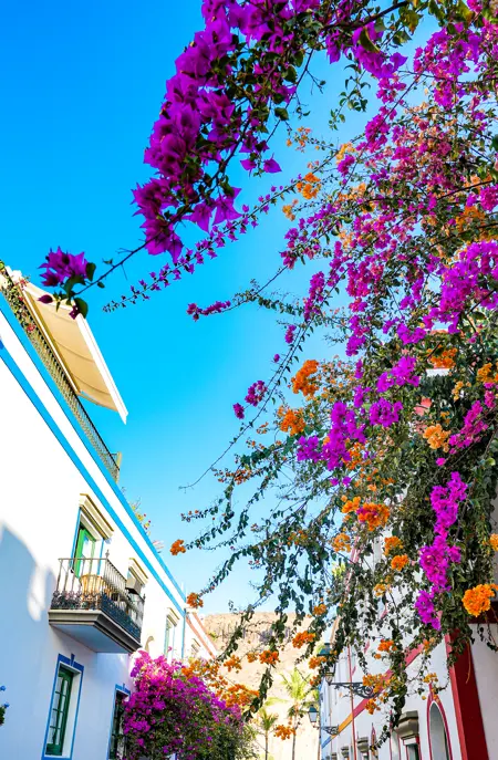 Puerto Mogan 3
