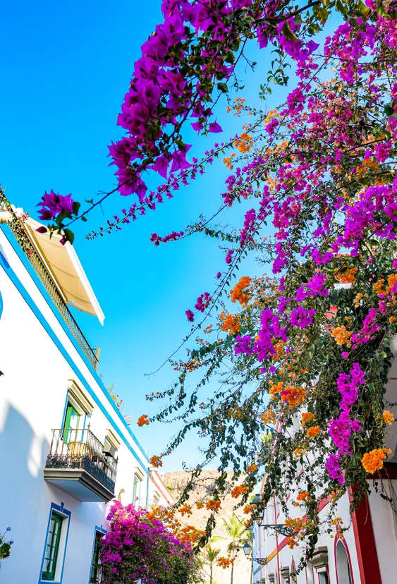 Puerto Mogan 3