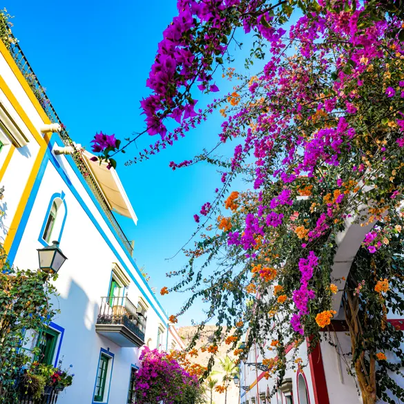 Puerto Mogan 3