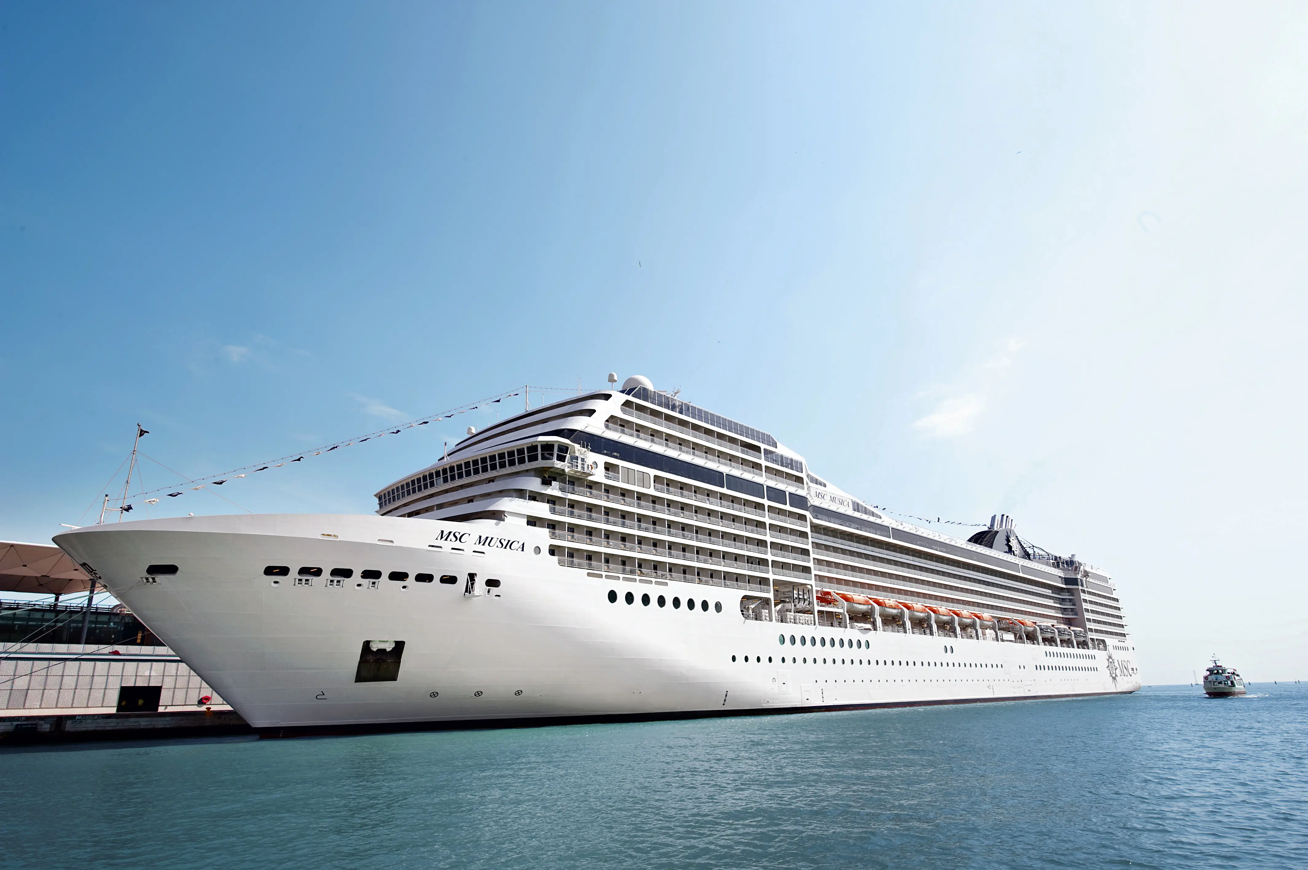 MSC13013533