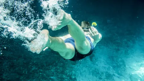 Diving 1564384