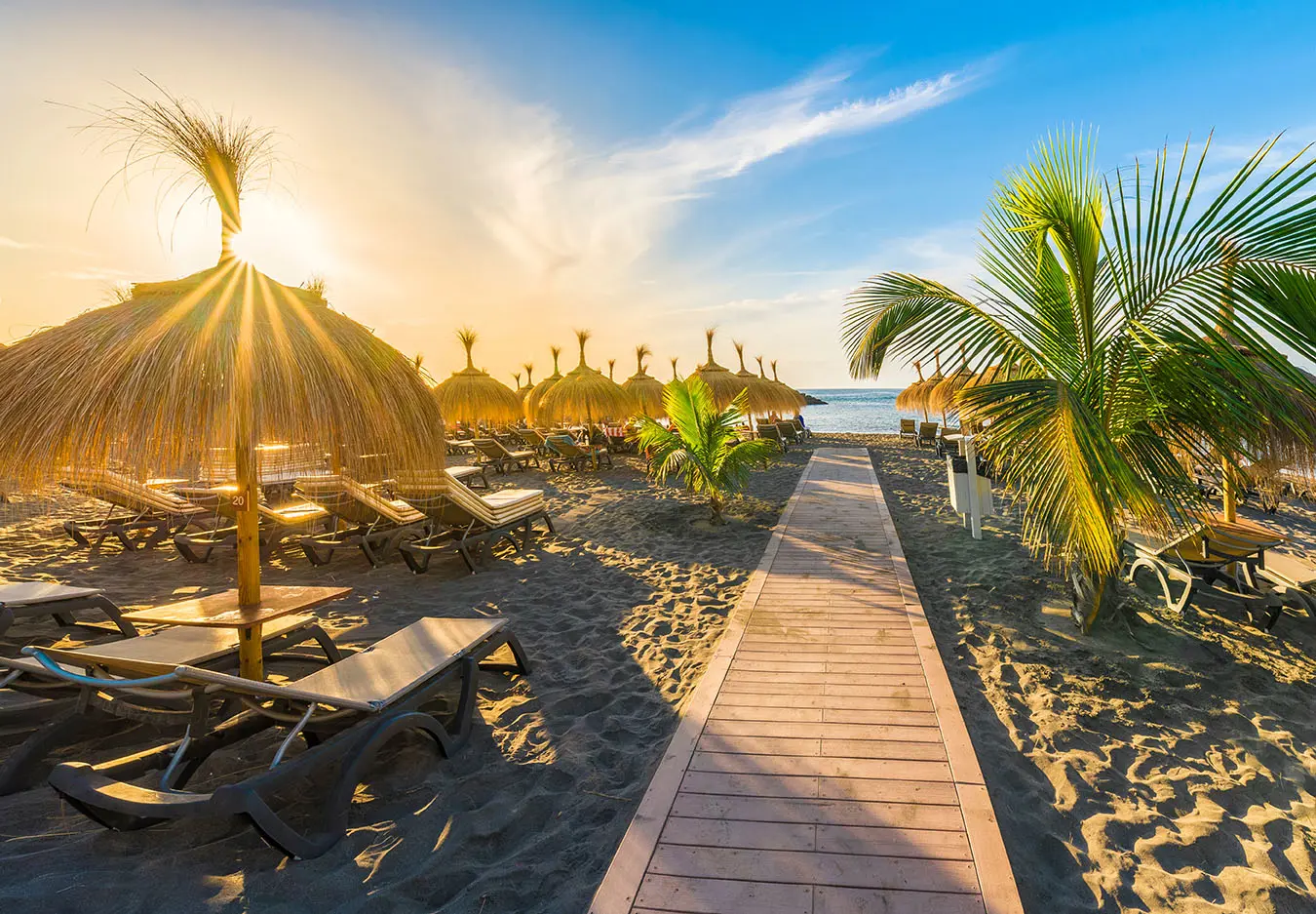 TFS Costa Adeje 784133011 WEB