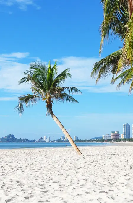 Thai Huahin 286142051