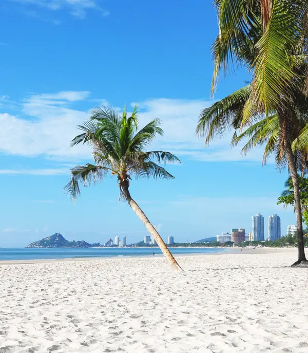 Thai Huahin 286142051