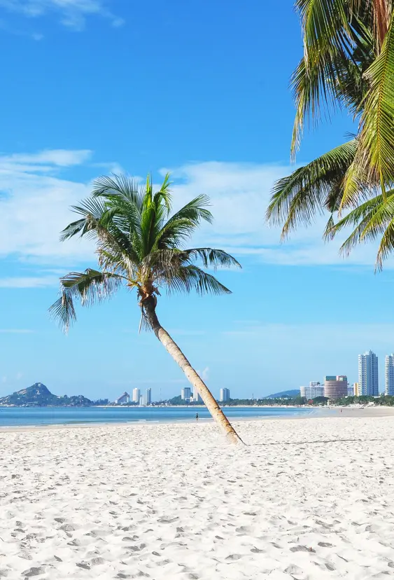 Thai Huahin 286142051