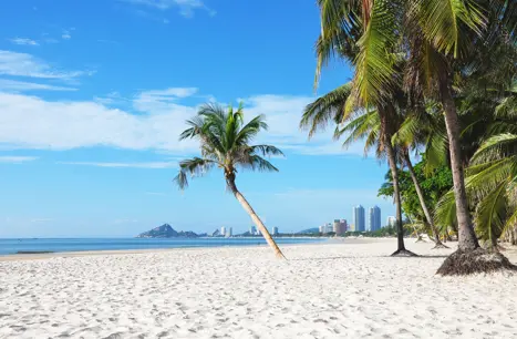 Thai Huahin 286142051