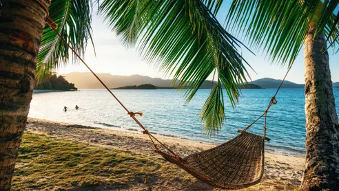 Hammock Between Two Palm Trees On The Beach At Sunset Gettyimages 1133353851