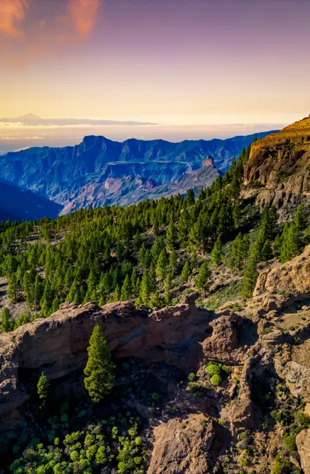 LPA Roque Nublo Adobestock 639882623