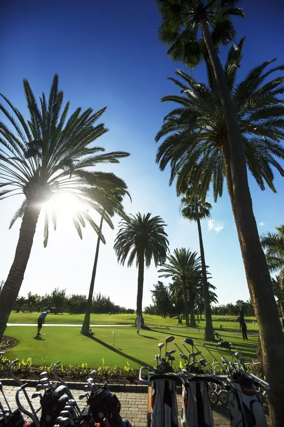 Maspalomas 14