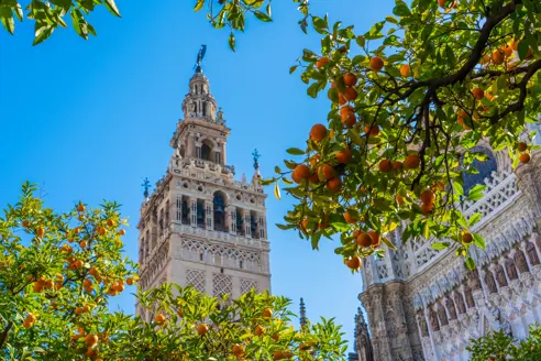 Sevilla Giralda Adobestock 289266053