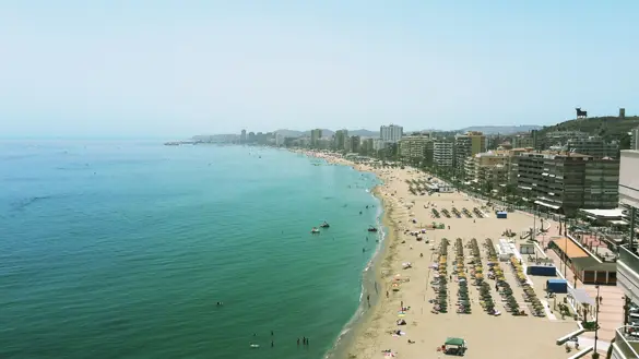 AGP Fungirola 3