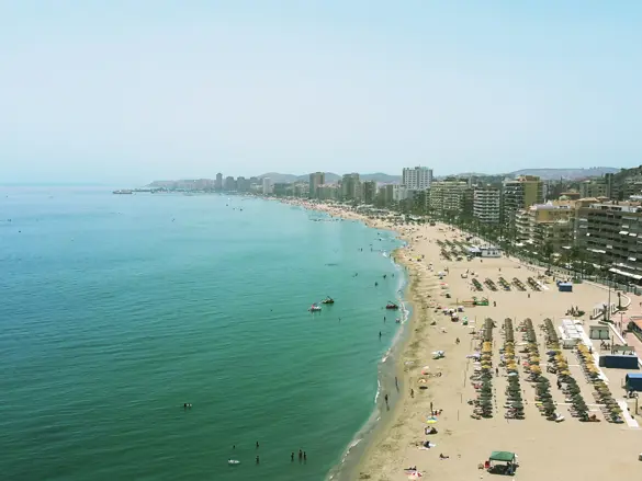 AGP Fungirola 3