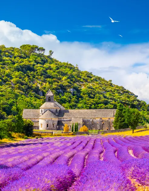 Gordes_SenanqueAbbey_AdobeStock_490787275.jpeg