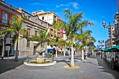 TFS Santa Cruz 134815736
