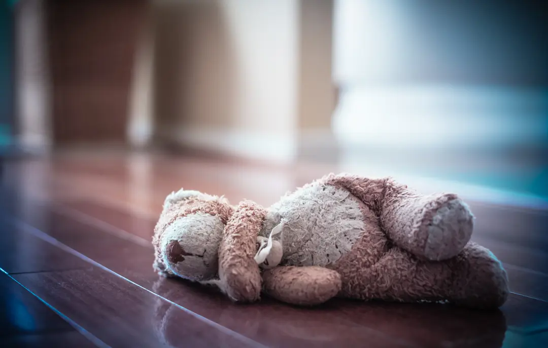 Glemt Bamse Adobestock 195792869