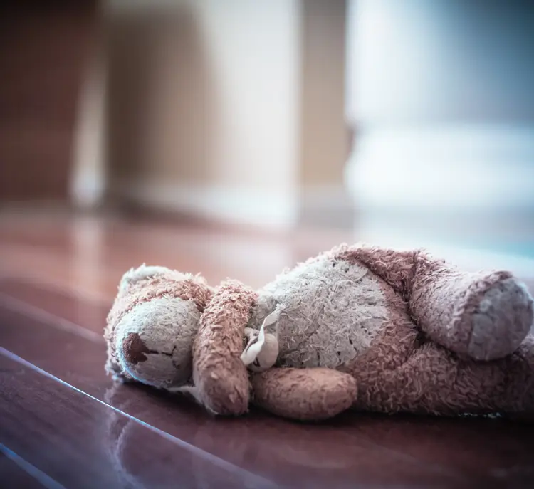 Glemt Bamse Adobestock 195792869