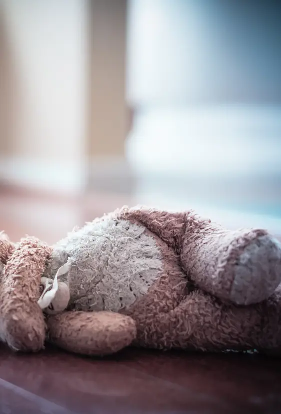 Glemt Bamse Adobestock 195792869