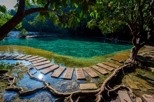 Krabi Emeraldpool Adobestock 328202864