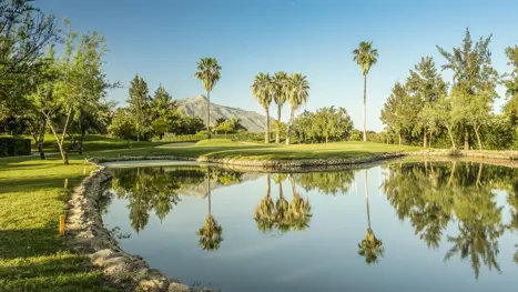 La Quinta Golf 8 A Other