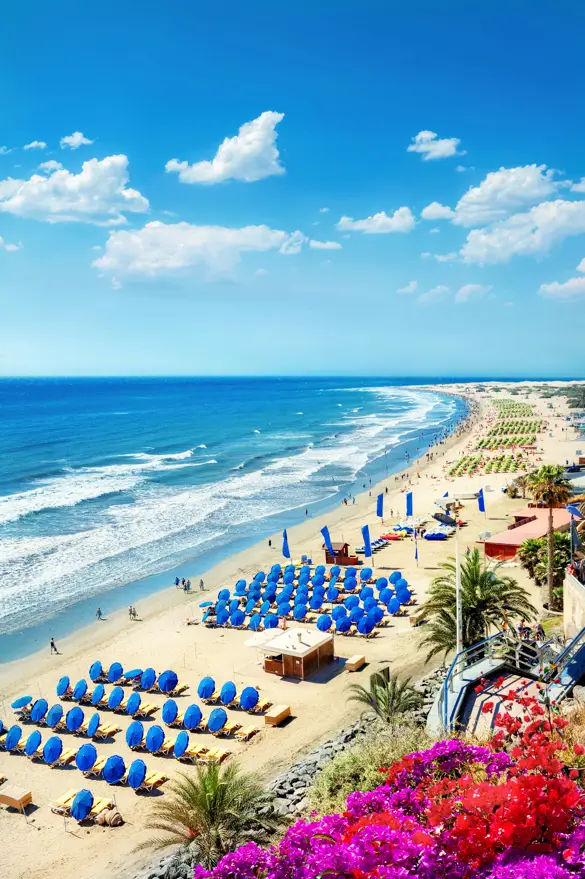 LPA Playa Del Ingles 387043093