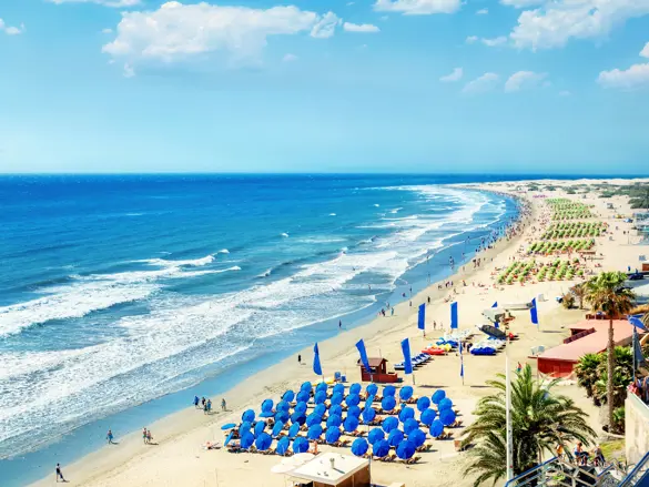 LPA Playa Del Ingles 387043093