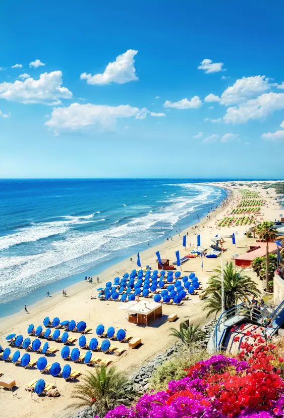LPA Playa Del Ingles 387043093