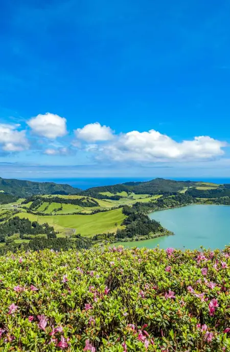 Furnas12
