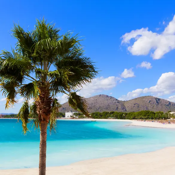 PMI Alcudia 274865990