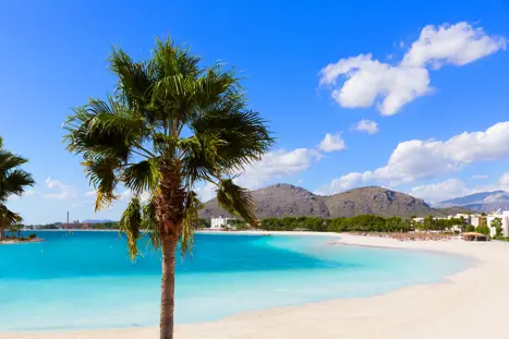 PMI Alcudia 274865990