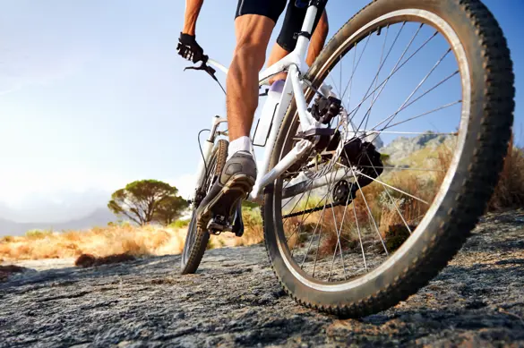 Mountainbike 135442784