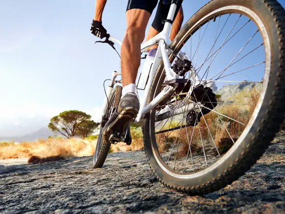 Mountainbike 135442784