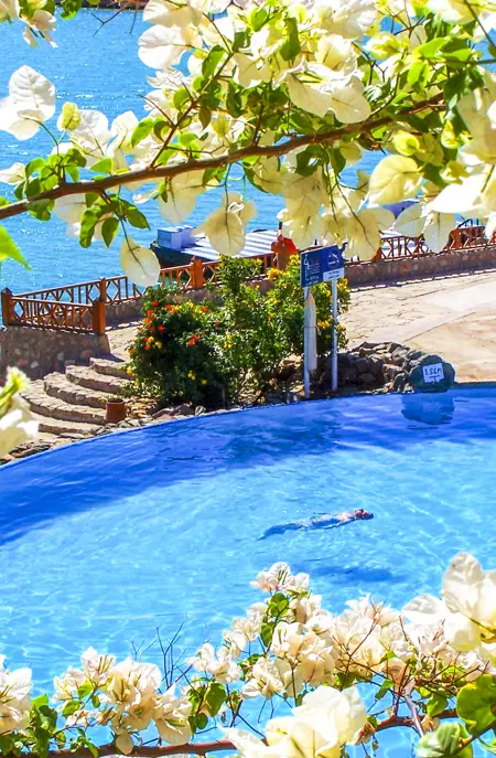Destination Egypt El Gouna Sultan Bey Hotel El Gouna Pool Detail