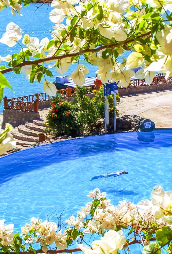 Destination Egypt El Gouna Sultan Bey Hotel El Gouna Pool Detail
