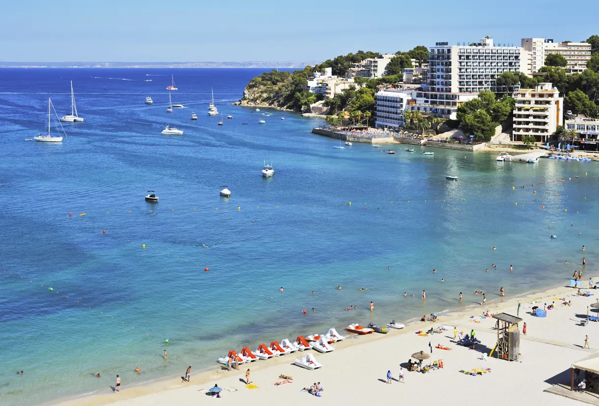 PMI Palmanova Playa 2