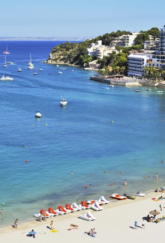 PMI Palmanova Playa 2